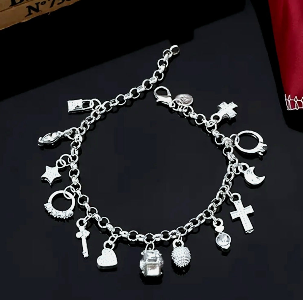 925 Silver Bracelet and Real Titanium Charms.