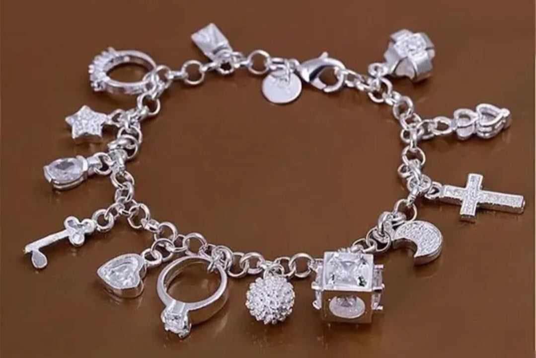 925 Silver Bracelet and Real Titanium Charms.